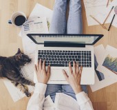 Удаленная работа офиса Gemix 